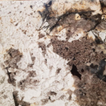 Đá hoa cương vàng Bạch Dương