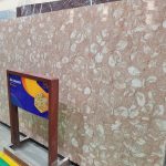 Đá Marble Hồng Sò