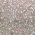 Đá Marble Hồng Sò