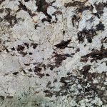 Đá Granite Branco Panda